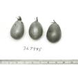 Click for 1 image(s) for this accession. FRUIT
